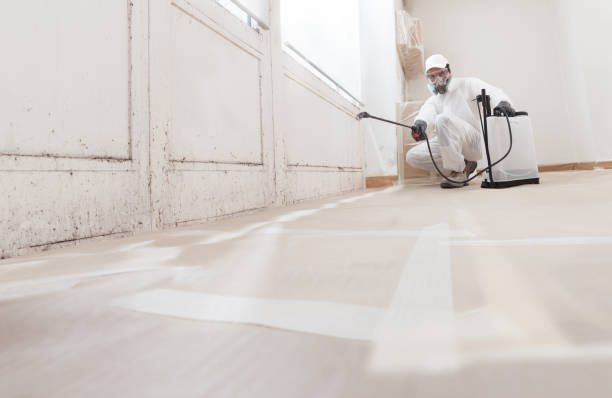 24/7 Emergency Attic Mold Removal experts in Rockville, MN